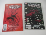 Amazing Spider-Man #600 2 Covers