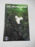 Walking Dead #171 De Felici Variant/Key