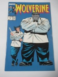 Wolverine #8 Hulk/Wolverine