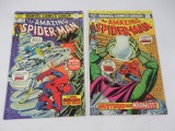 Amazing Spider-Man #142 + #143/1st Peter + MJ Kiss