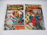 Amazing Spider-Man #123 + #126/Luke Cage