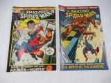 Amazing Spider-Man #110 + #111/1st Gibbon