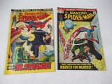 Amazing Spider-Man #108 + #109/1st Sister Sun