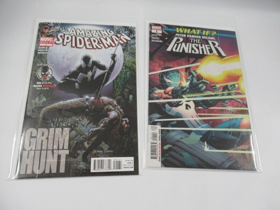 Spider-Man: What If? Group of (2)