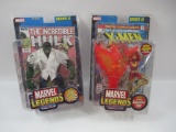 Marvel Legends Dark Phoenix/Hulk