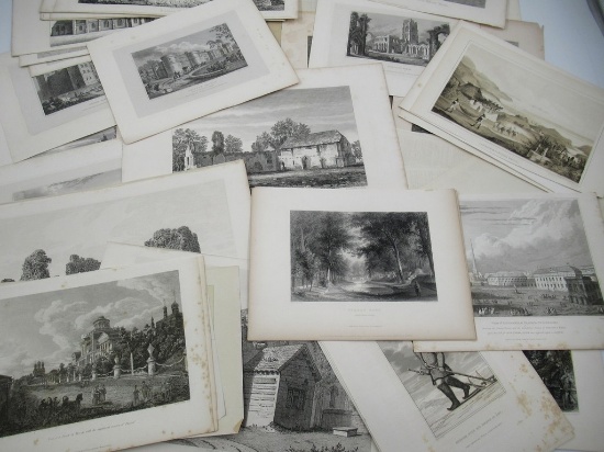 Environmental Themed Variety Illustration/Lithograph Print Lot