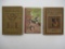 Assorted Book Lot
