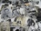 Hollywood & Celebrity Photo Lot