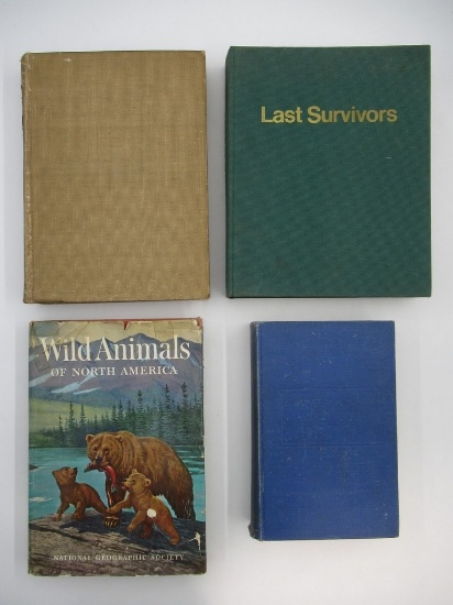 Assorted Book Lot