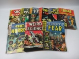 1970s EC Horror Comic Book Lot of (45)
