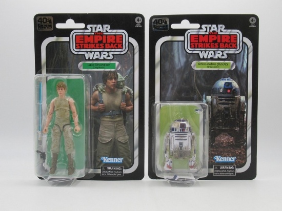 Dagobah R2-D2/Luke Skywalker Star Wars 40th Anniversary Figures