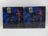 Batman and Catwoman 12