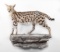 Full Wall Mounted Serval Cat On Rock