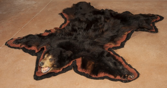 Full Black Bear Rug