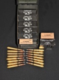 95 Rounds of .50 BMG