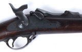 U.S. Springfield 1873 