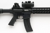 Smith & Wesson M&P 15-22 Semi Auto Rifle, Cal. .22lr w/ Optics