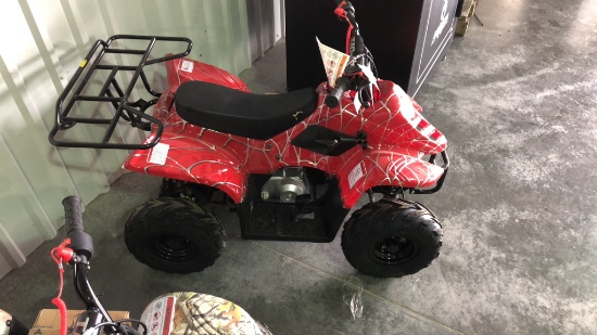 Unused Tao Motor B110 Four Wheeler,