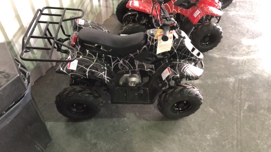 Unused Tao Motor B110 Four Wheeler,