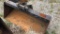 5’ WB Backhoe bucket,