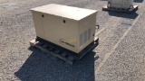 Guardian 13,000 Watts Generator,