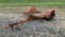 Ditch Witch Tilt Top Tag Trailer,