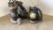 2- Pumps, 1- Ponstar PXL-65011 2