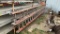 2 - 40' Foot Fiberglass Extension Ladders