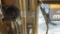 Limb Saw, Limb Shear, and Nuisance Animal Snare,