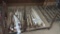 Miscellaneous Tent Stakes, Assorted Sizes