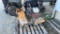 Concrete Saw,