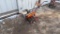 Maxim Chain Drive Front-Tine Rototiller,