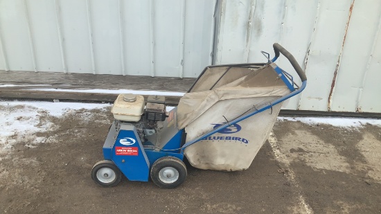 Blue Bird C18 Lawn Comber with Bag,