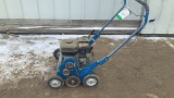 Blue Bird Lawn PT 18 Power Rake,