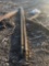 (2) 3” Auger Bits