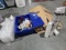 Plastic Food Trays w/ Lid, 16oz Paper Cups, Tote of Different Items