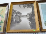 PHOTO ON BOARD OF A RIVER SCENE IN OAK FRAME: 19