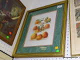 FRAMED AND DOUBLE MATTED FRUIT PRINT IN GOLD FRAME: 18