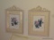 (2ND FLR BR 2) PAIR OF FRAMED AND DOUBLE MATTED PRINTS OF FLOWERS IN WHITE FRAMES: 18.5