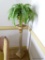 (DR) GOLD AND WHITE PAINTED COLUMN SHAPED PLANT STAND: 8