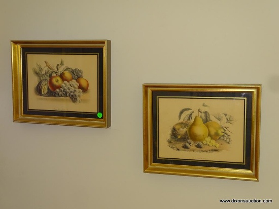 (DR) PAIR OF FRAMED, MATTED, AND SIGNED PRINTS OF FRUIT IN GOLD SHADOW BOX FRAMES: 15.25"x12.25".