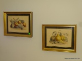 (DR) PAIR OF FRAMED, MATTED, AND SIGNED PRINTS OF FRUIT IN GOLD SHADOW BOX FRAMES: 15.25