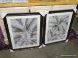 (ROW 1) PAIR OF BRAND NEW IN THE PLASTIC FRAMED AND MATTED FOLIAGE PRINTS IN BROWN FRAMES: 23