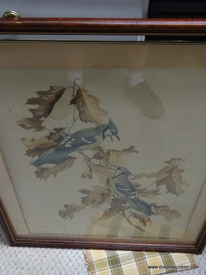 (GR) FRAMED AND MATTED LITHOGRAPH OF BLUE JAYS IN MAHOGANY FRAME: 26"X32". DOES NEED THE BACK