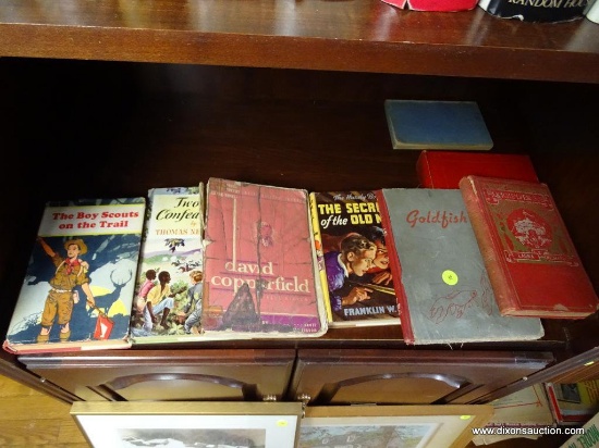 (GR) LOT OF VINTAGE BOOKS: GOLDFISH, QUICKSILVER SUE, THE BOY SCOUTS ON THE TRAIL, TWO LITTLE
