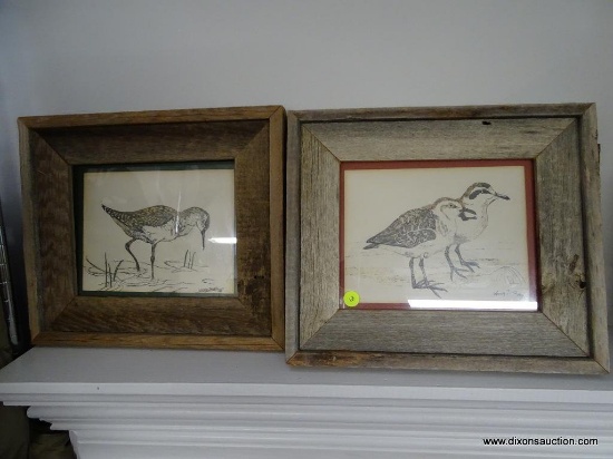 (GR) PAIR OF FRAMED AND MATTED BIRD DRAWINGS BY WENDY JONES (1988). IN WOODEN FRAMES: 14.5"X12.5"