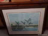 (GR) FRAMED AND DOUBLE MATTED PRINT OF DUCKS IN FLIGHT BY JOHN MACLEOD 432/730. IN MAHOGANY FRAME: