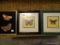 (MBR) SET OF 3 ASSORTED BUTTERFLY WALL ART, LOCATED ON #99. 2 SQUARE, AND ONE RECTANGULAR.