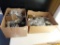 (SUN) 2-BOX LOT OF ASSORTED WATCH PIECES AND PARTS. MANY BAGS FULL OF MEN'S AND LADIES METAL BANDS,