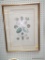 (WALL) FRAMED AND MATTED PRINT OF SEASHELLS; ORIGINALLY DONE BY FRANZ MICHAEL REGENFUSS AFTER GAB